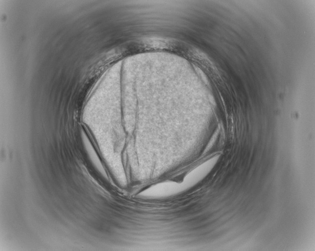 X0000085290410200704092237