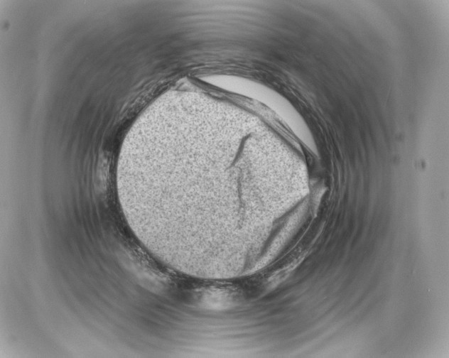 X0000085290412200704092237