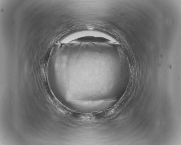 X0000085290415200704092237