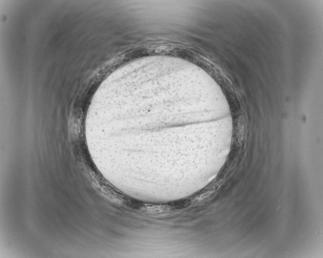X0000085290417200704092237