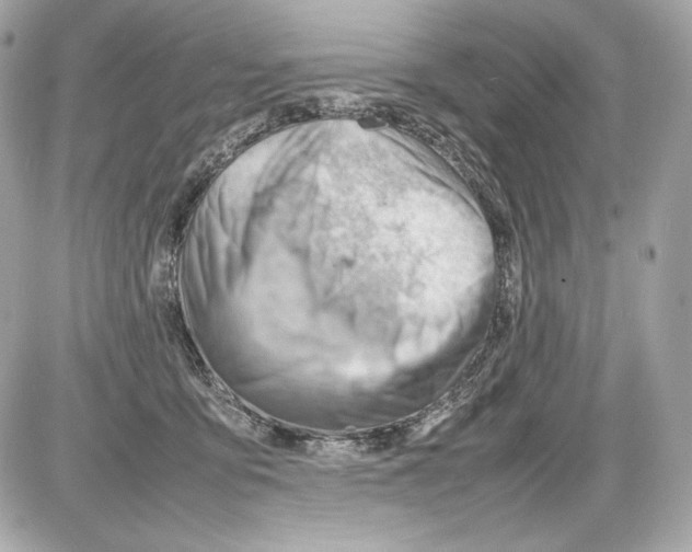 X0000085290419200704092237