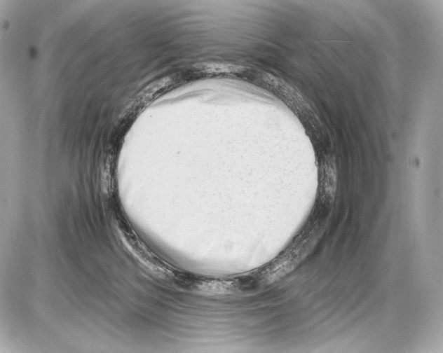 X0000085290422200704092237