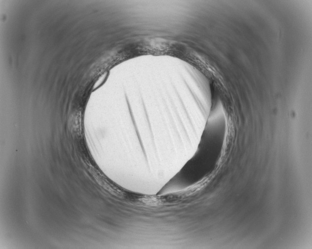 X0000085290425200704092237