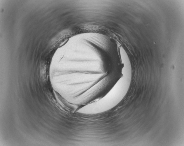 X0000085290428200704092237