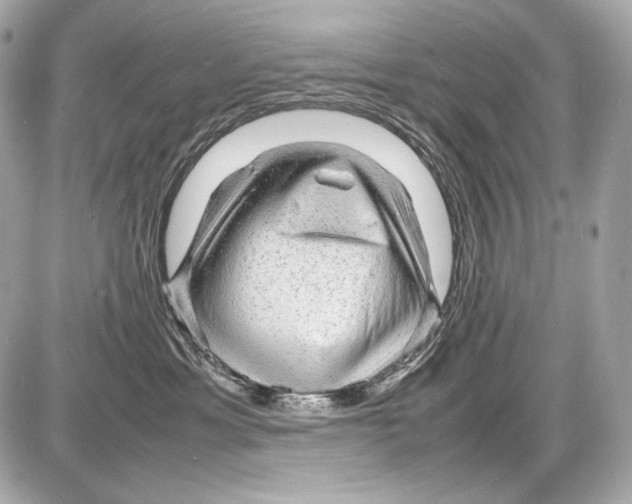 X0000085290429200704092237