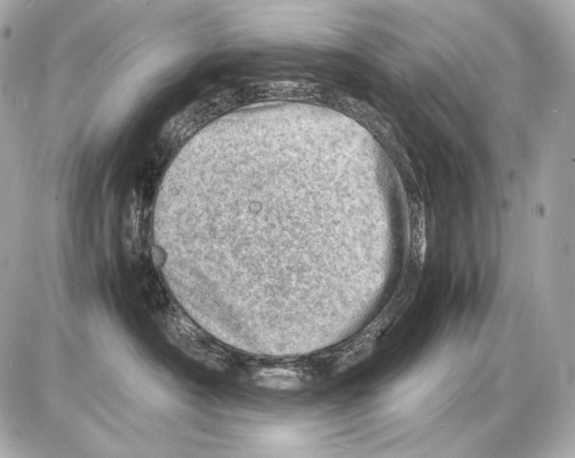 X0000085290430200704092237