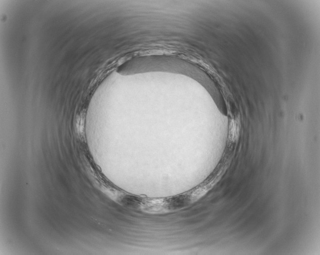 X0000085290431200704092237