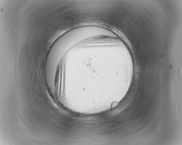 X0000085290433200704092236