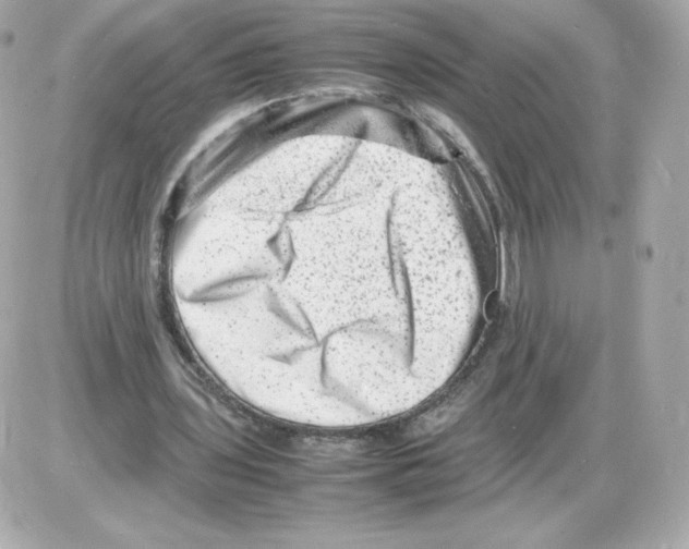 X0000085290435200704092236