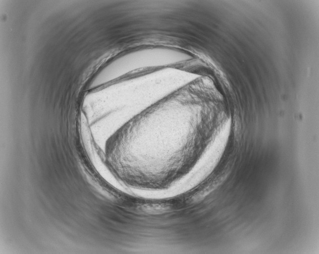 X0000085290445200704092236