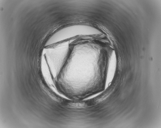X0000085290449200704092236