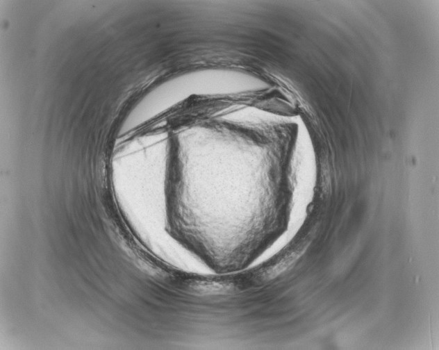 X0000085290453200704092236
