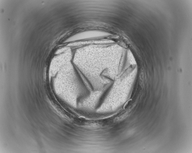 X0000085290454200704092236