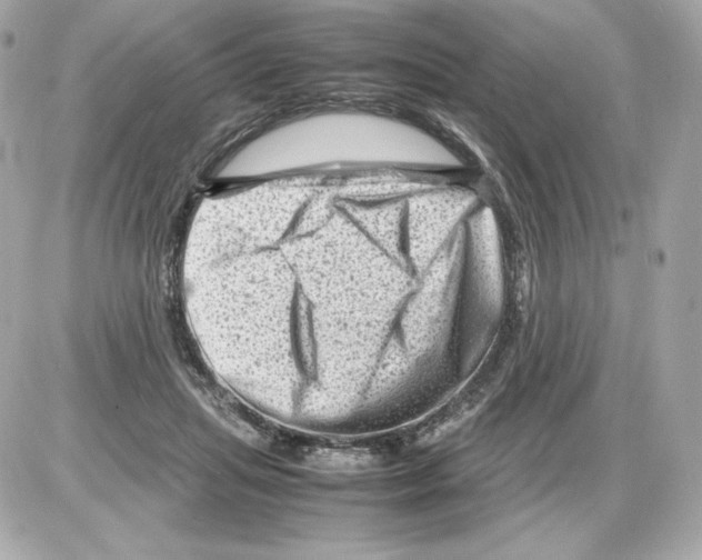 X0000085290455200704092236