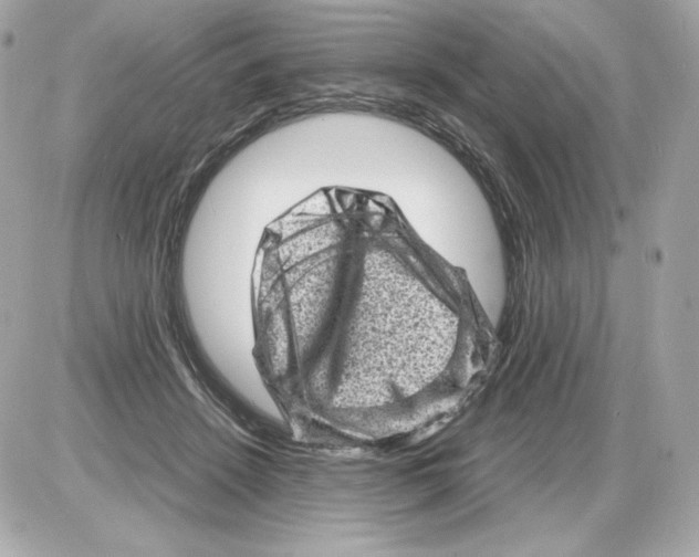 X0000085290456200704092236