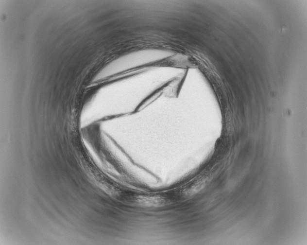 X0000085290457200704092236