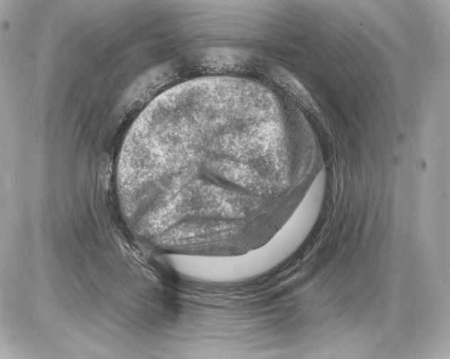 X0000085290458200704092236