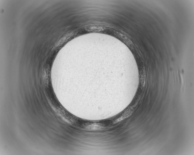 X0000085290460200704092236