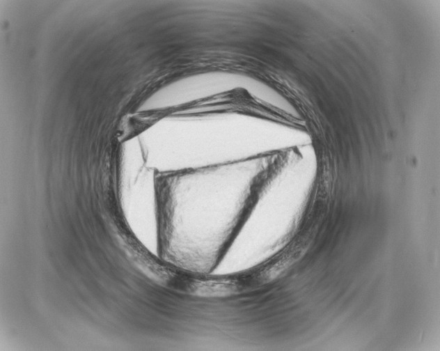 X0000085290461200704092236
