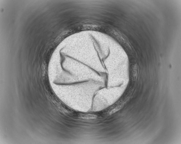 X0000085290463200704092236
