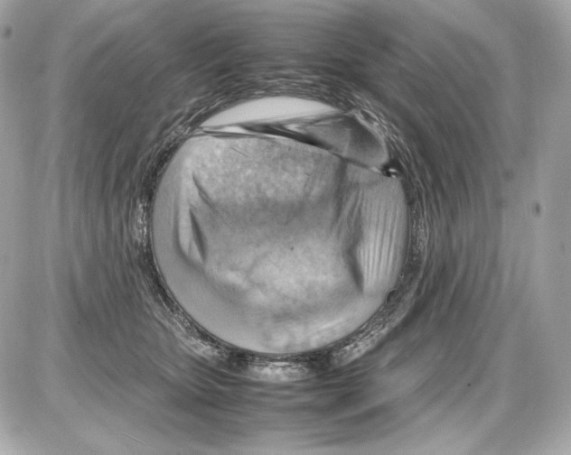 X0000085290467200704092237