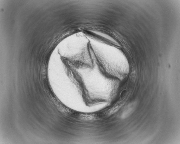 X0000085290469200704092237
