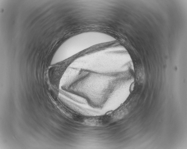 X0000085290470200704092237