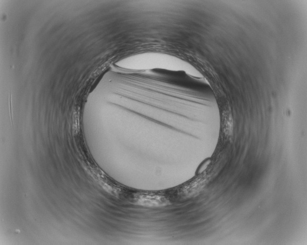 X0000085290471200704092237