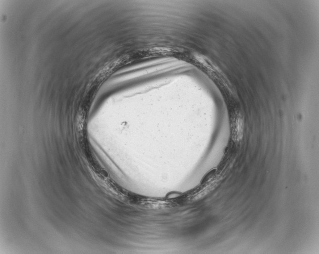 X0000085290472200704092237