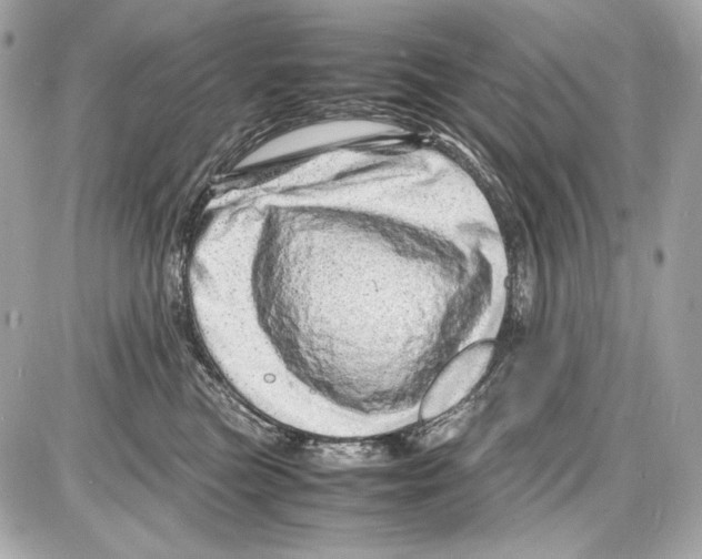 X0000085290473200704092237