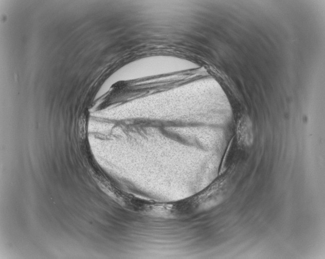 X0000085290474200704092237