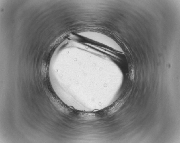 X0000085290476200704092237