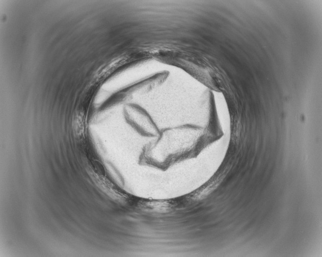 X0000085290478200704092237