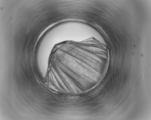 X0000085290484200704092236