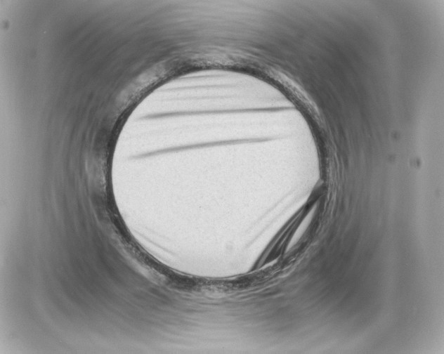X0000085290489200704092236