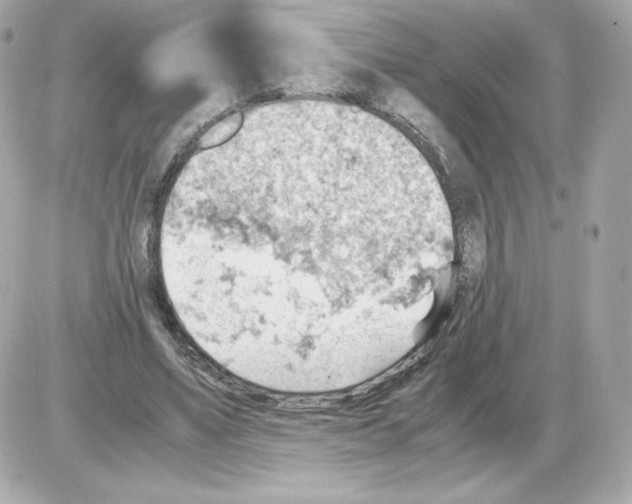 X0000085290491200704092236