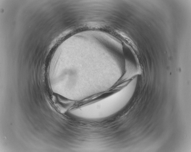 X0000085290492200704092236