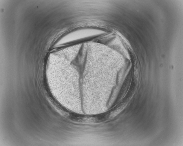 X0000085290493200704092236