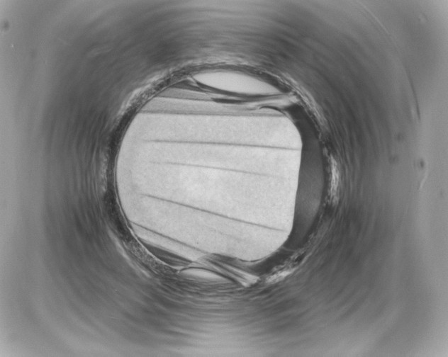 X0000085290496200704092236