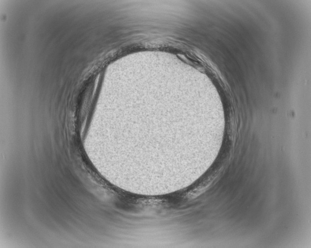 X0000085290497200704092236