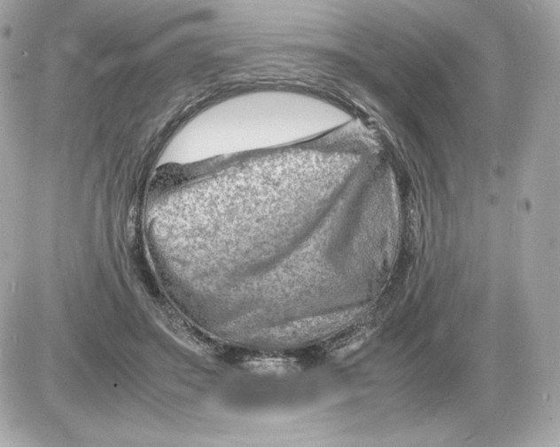 X0000085290499200704092236