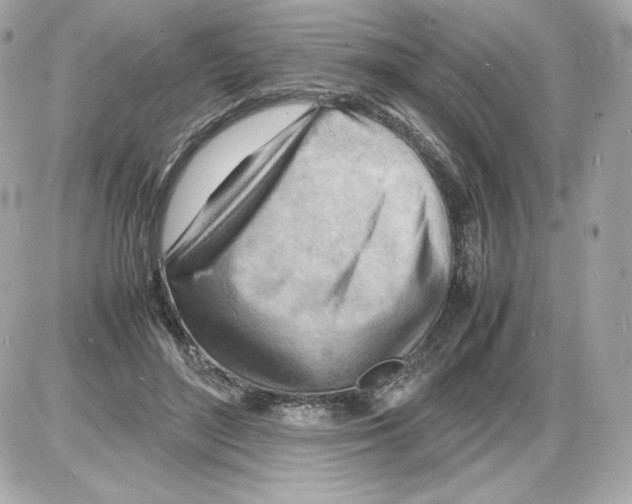 X0000085290500200704092236