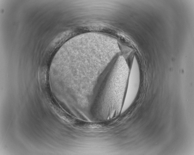 X0000085290501200704092236