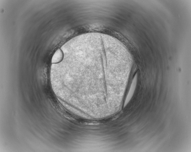 X0000085290506200704092235