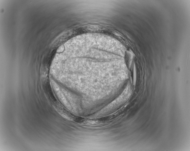 X0000085290507200704092235