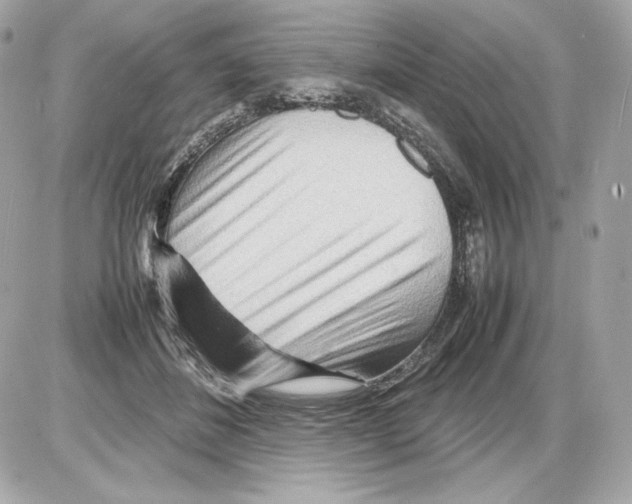 X0000085290508200704092235