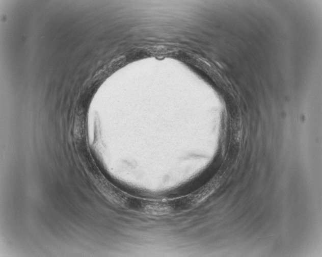X0000085290515200704092235