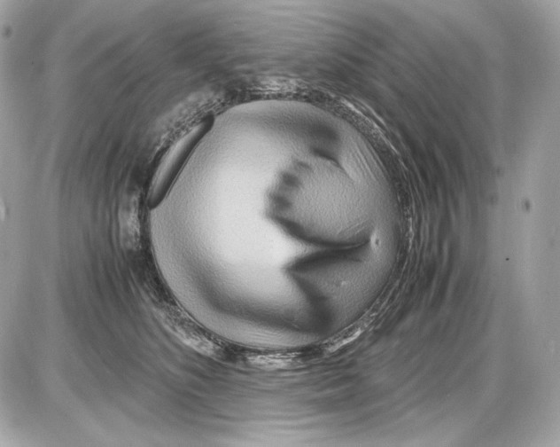 X0000085290516200704092235