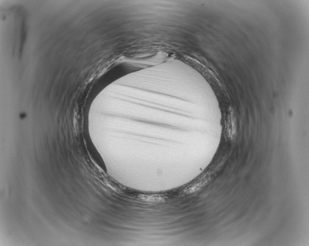 X0000085290520200704092235
