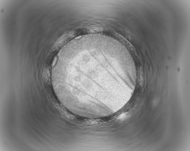 X0000085290523200704092235